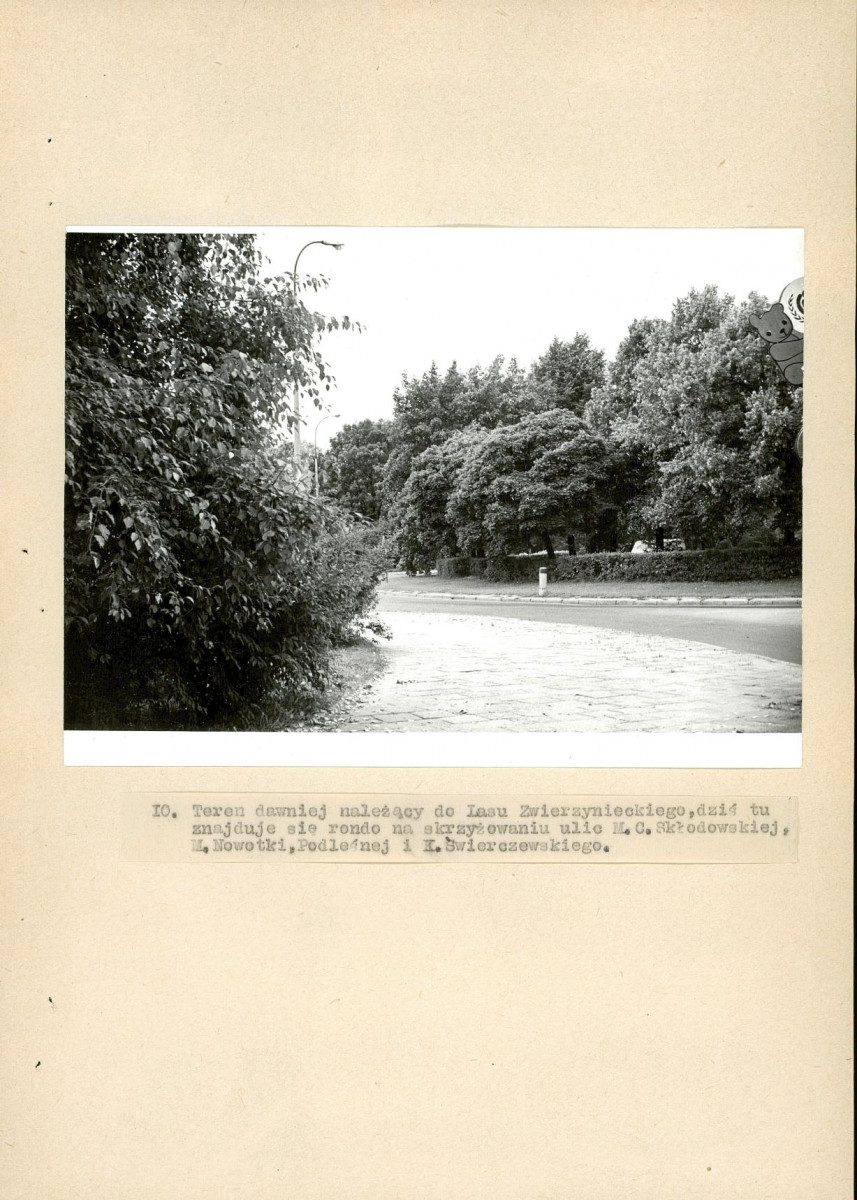 EP - Ewidencja parkowa, skan nr 117