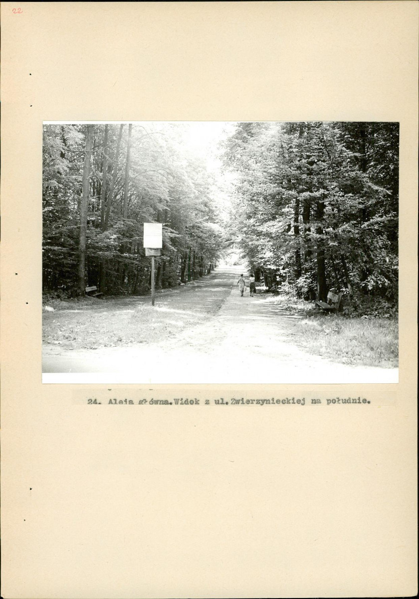 EP - Ewidencja parkowa, skan nr 131