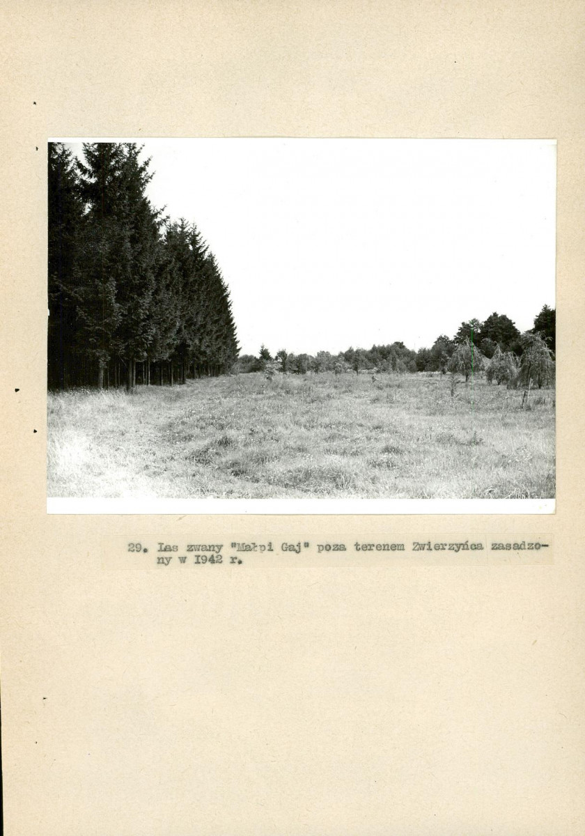 EP - Ewidencja parkowa, skan nr 136
