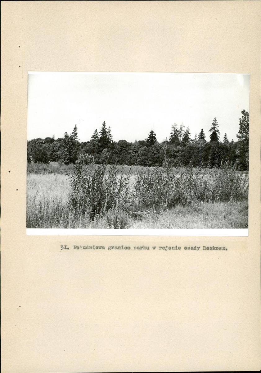 EP - Ewidencja parkowa, skan nr 138