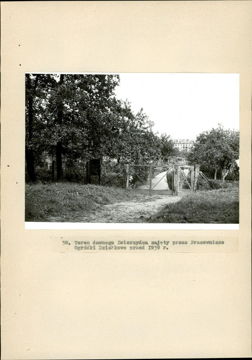 EP - Ewidencja parkowa, skan nr 145