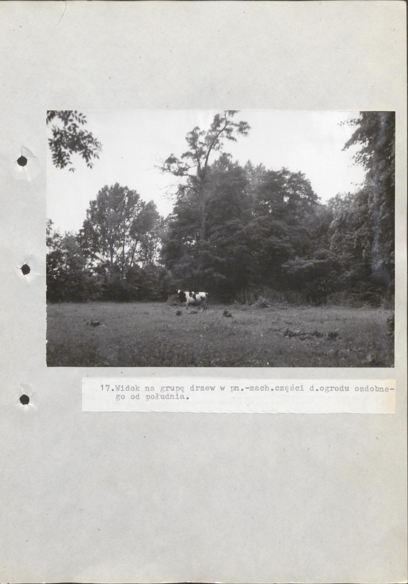 EP - Ewidencja parkowa, skan nr 77