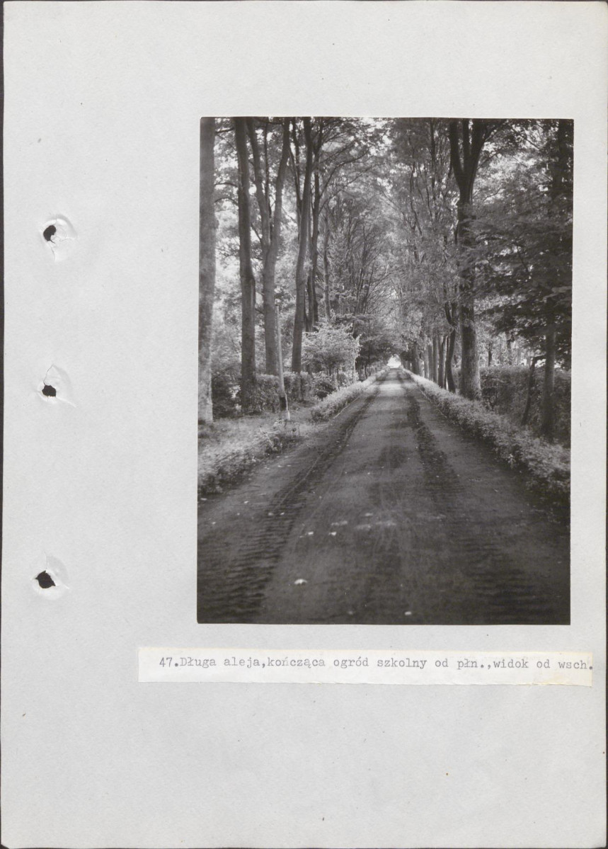 EP - Ewidencja parkowa, skan nr 108
