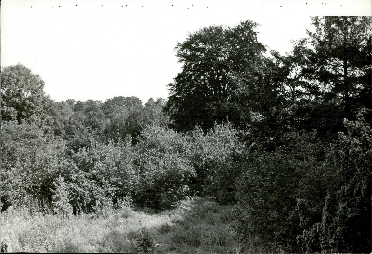 EP - Ewidencja parkowa, skan nr 63