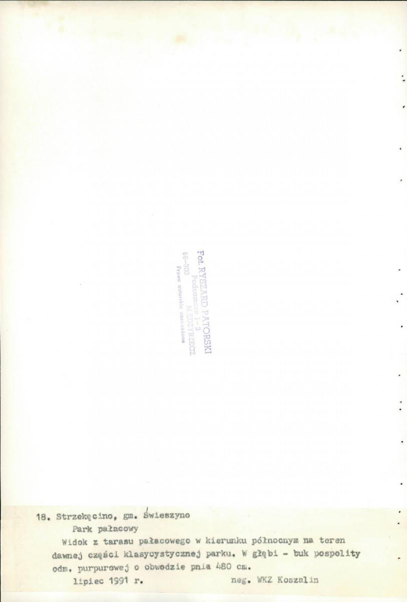 EP - Ewidencja parkowa, skan nr 64