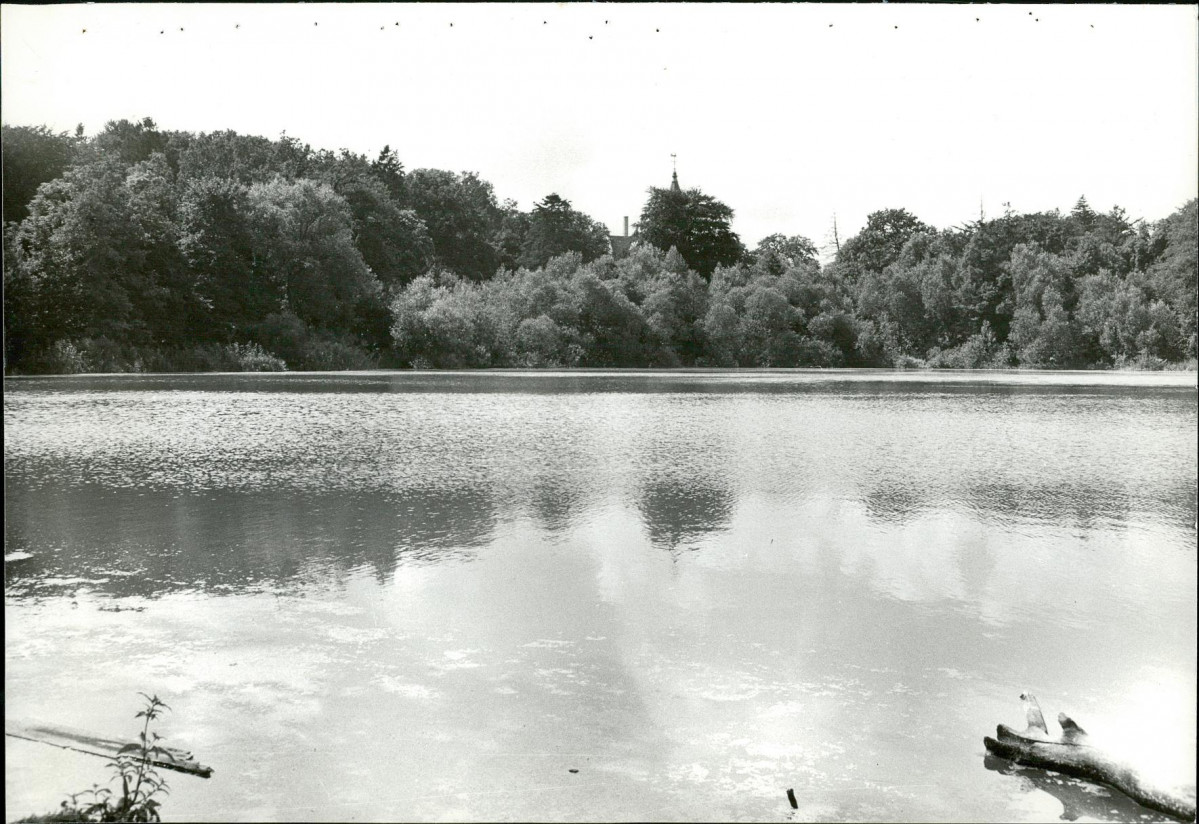 EP - Ewidencja parkowa, skan nr 87