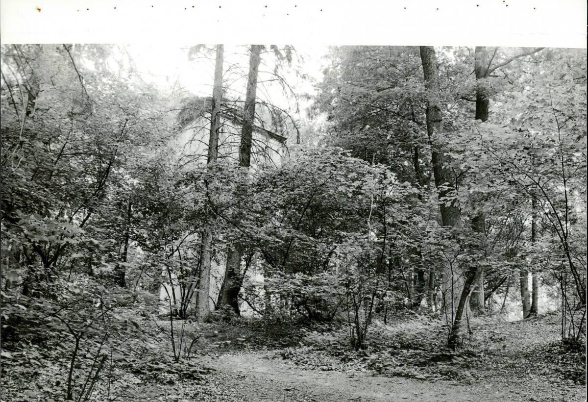EP - Ewidencja parkowa, skan nr 95