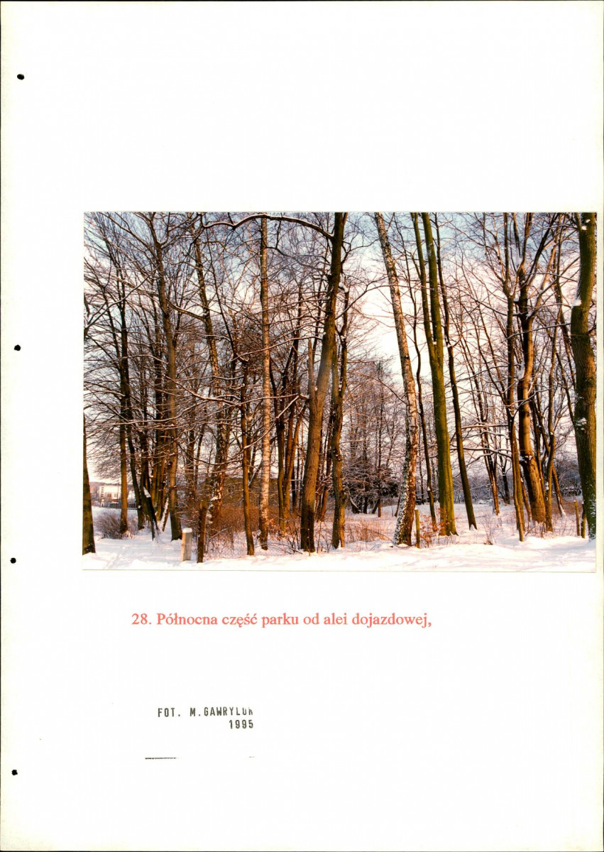 EP - Ewidencja parkowa, skan nr 113