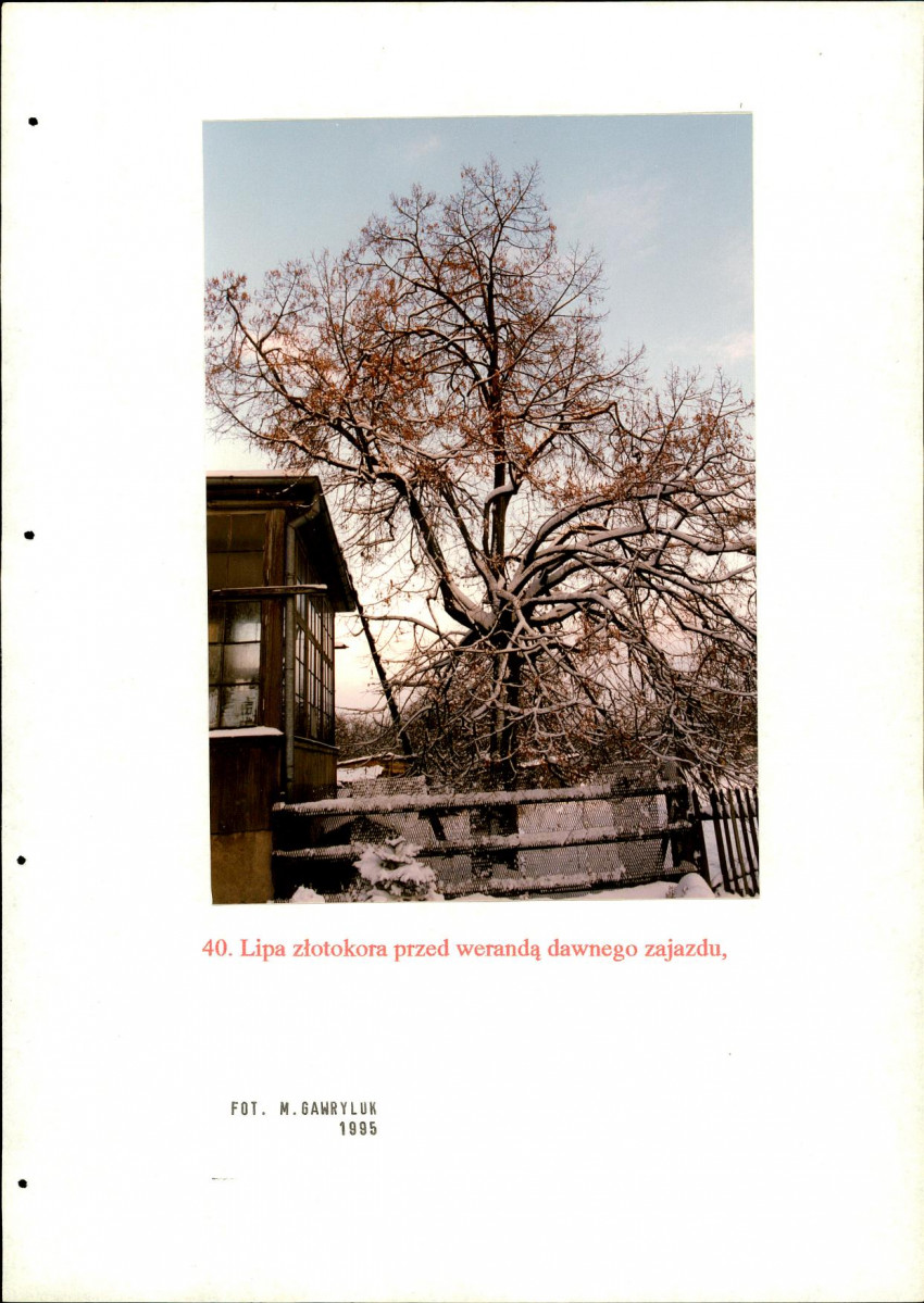 EP - Ewidencja parkowa, skan nr 125