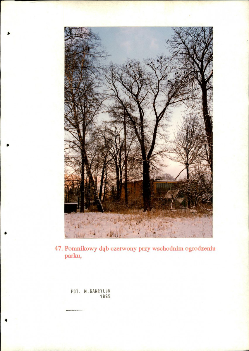 EP - Ewidencja parkowa, skan nr 132
