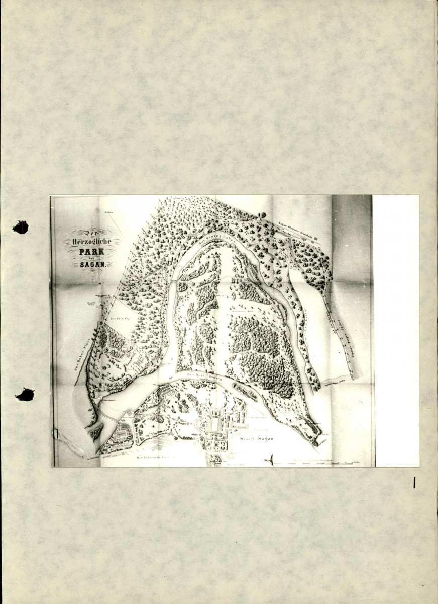 EP - Ewidencja parkowa, skan nr 49