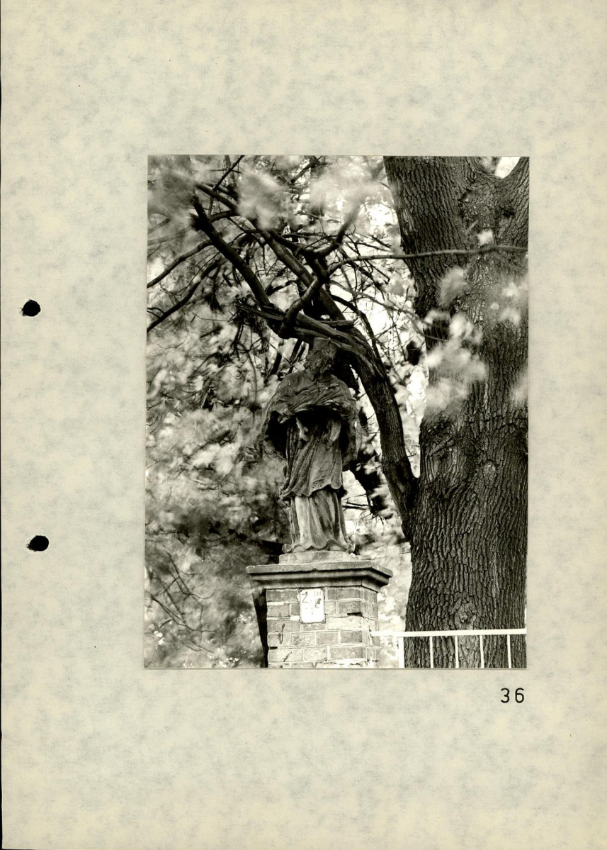 EP - Ewidencja parkowa, skan nr 71