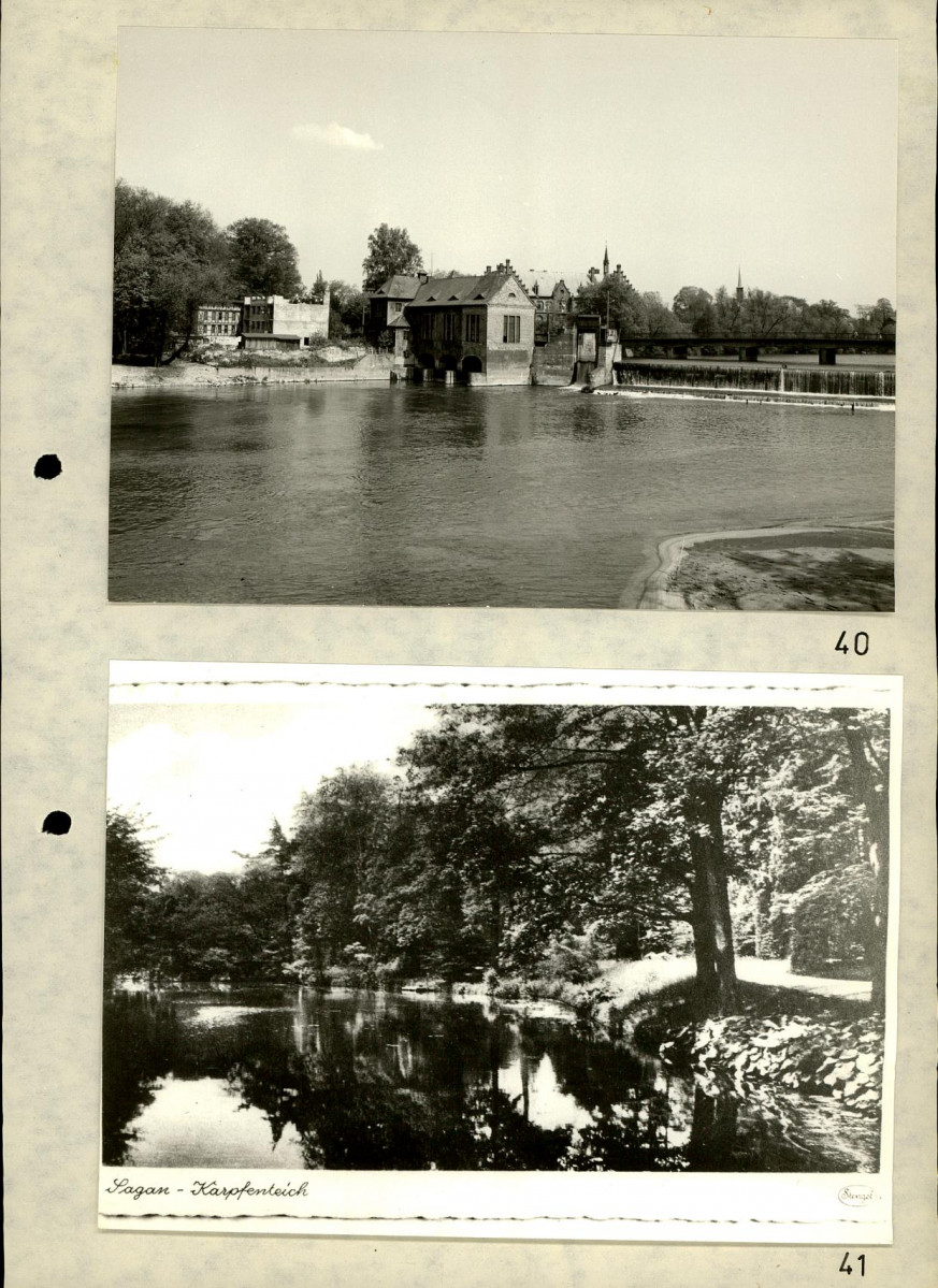 EP - Ewidencja parkowa, skan nr 74