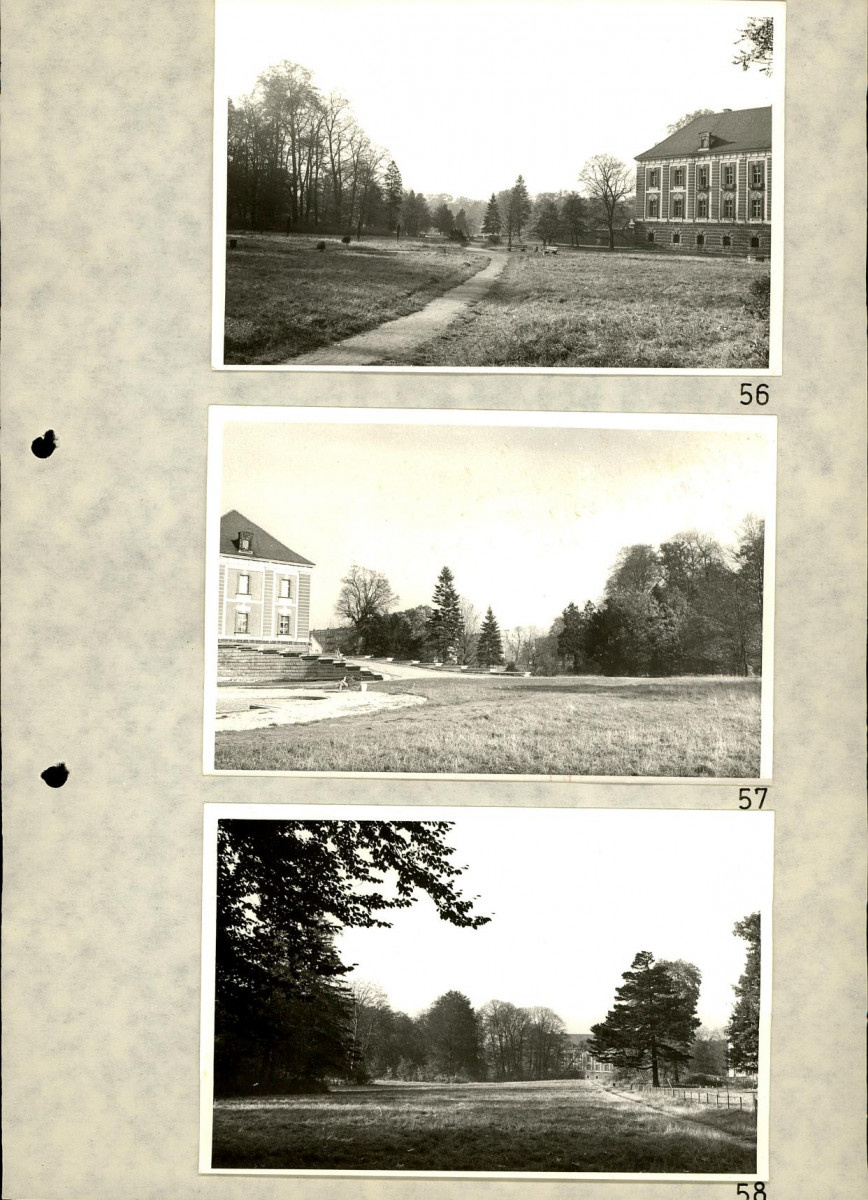 EP - Ewidencja parkowa, skan nr 84