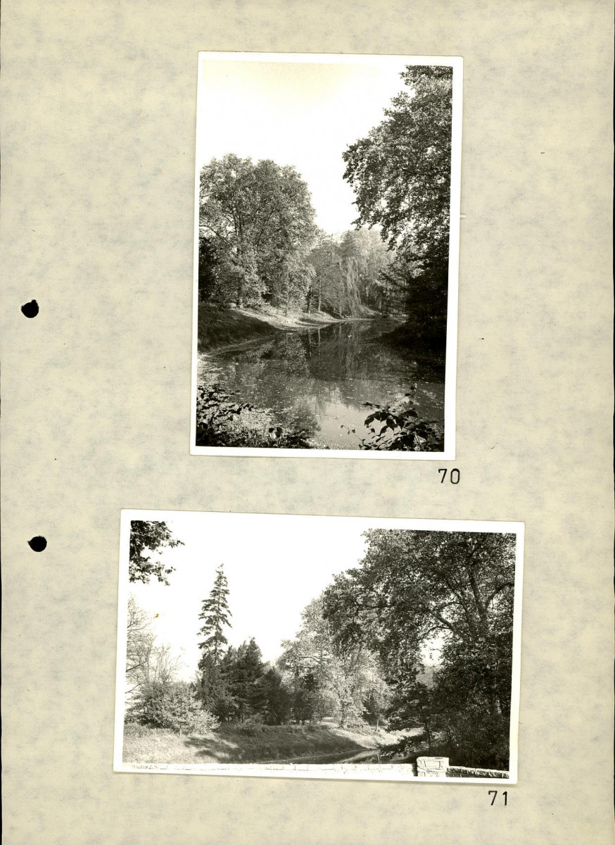 EP - Ewidencja parkowa, skan nr 90