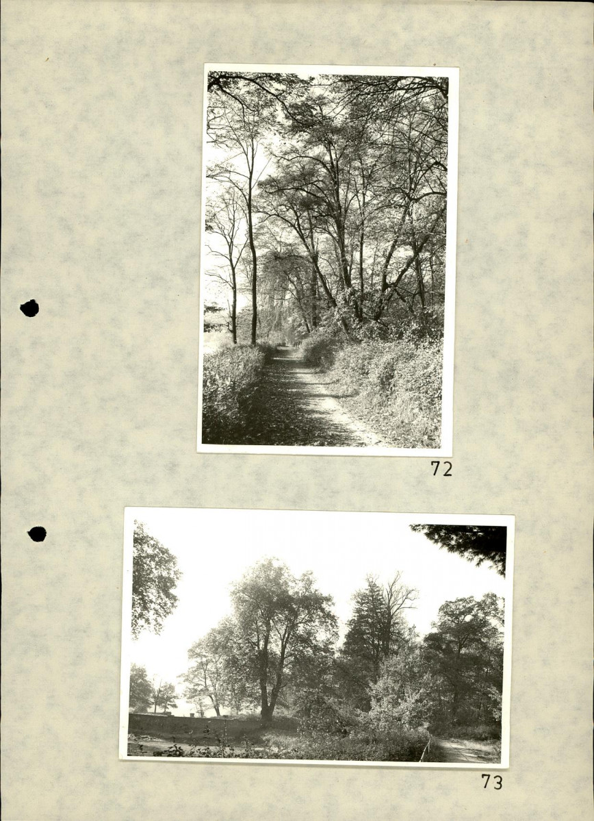 EP - Ewidencja parkowa, skan nr 91