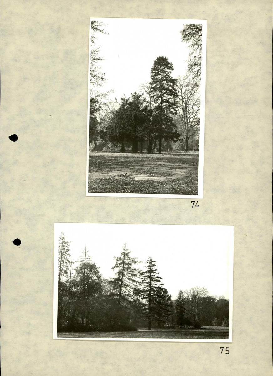 EP - Ewidencja parkowa, skan nr 92