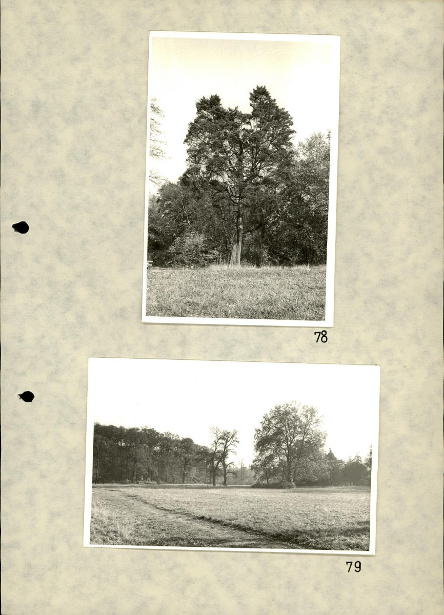 EP - Ewidencja parkowa, skan nr 94