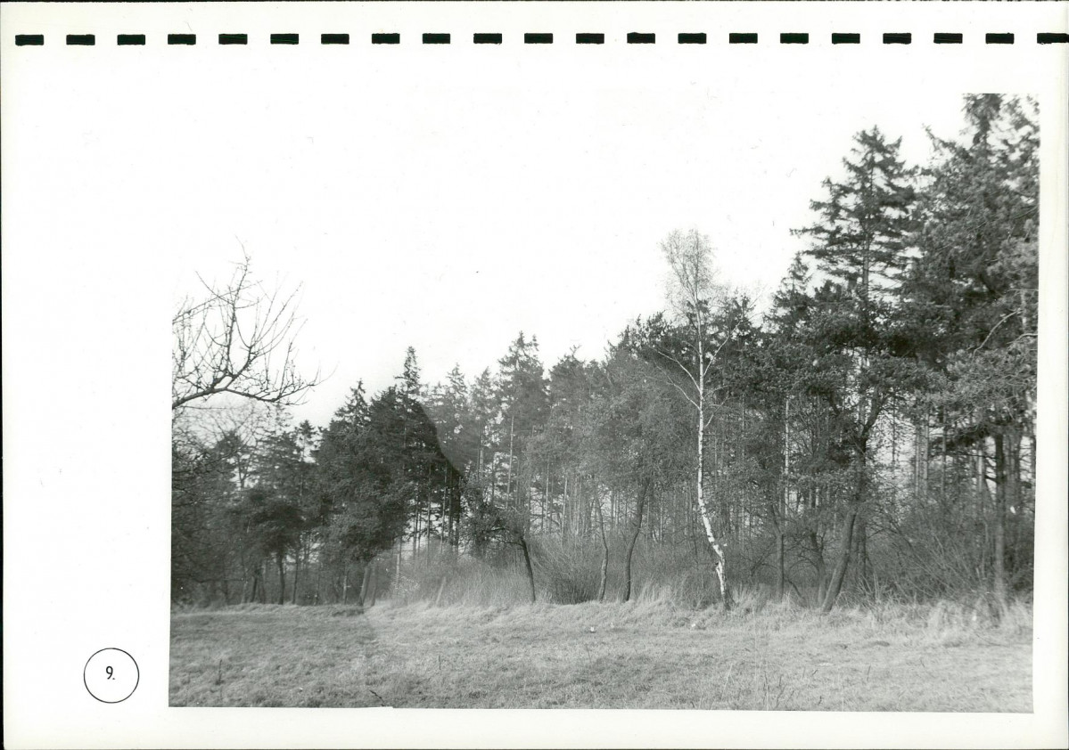 EP - Ewidencja parkowa, skan nr 101