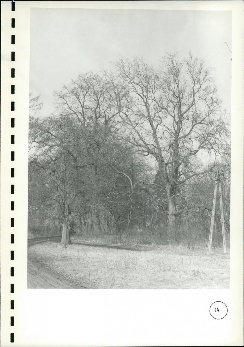 EP - Ewidencja parkowa, skan nr 106
