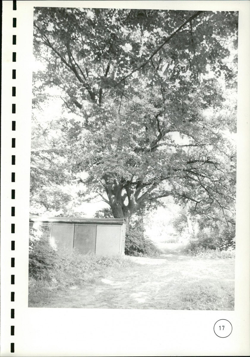 EP - Ewidencja parkowa, skan nr 109