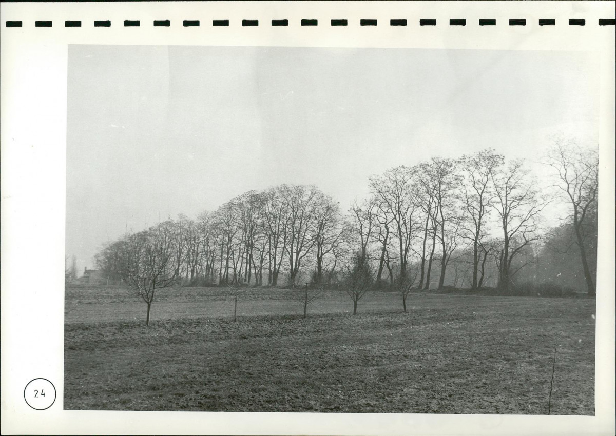 EP - Ewidencja parkowa, skan nr 116