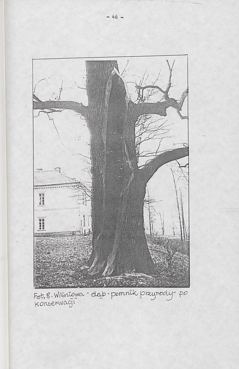 EP - Ewidencja parkowa, skan nr 56