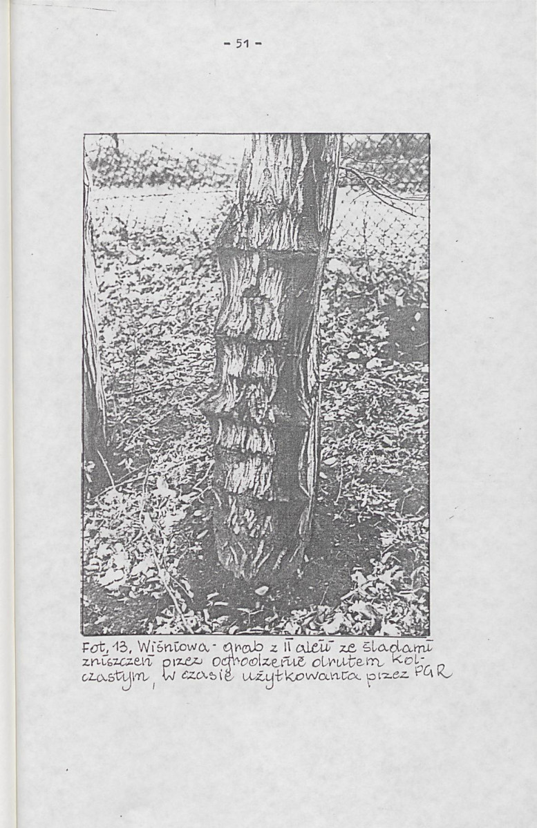 EP - Ewidencja parkowa, skan nr 61