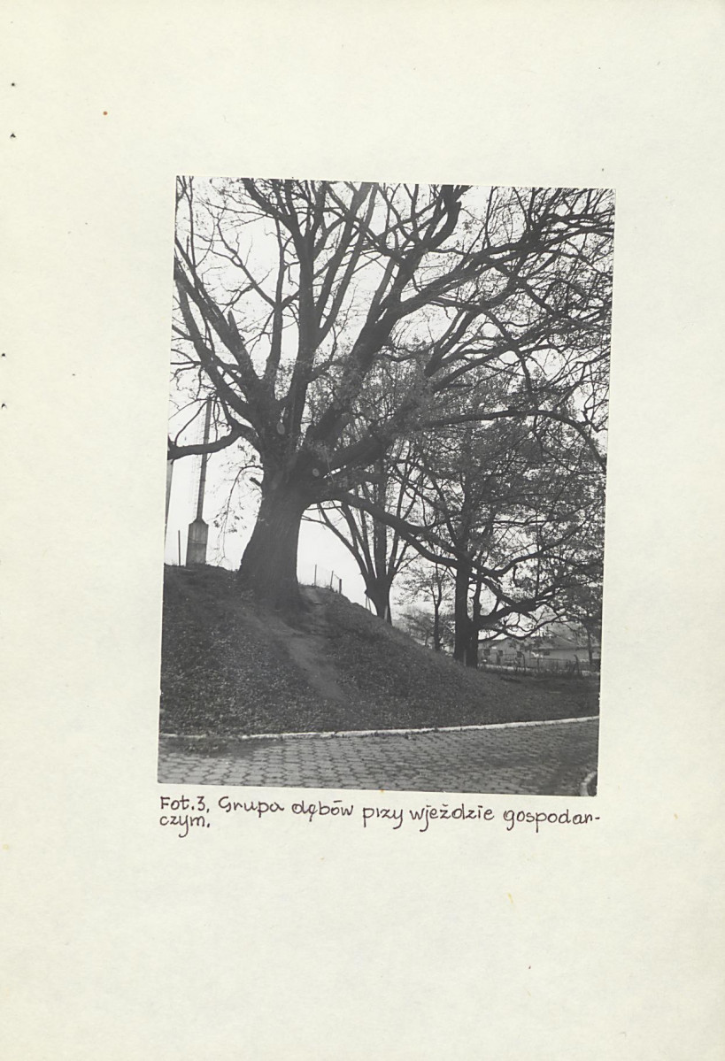EP - Ewidencja parkowa, skan nr 73