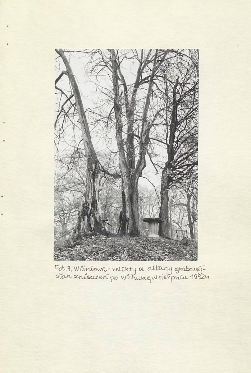 EP - Ewidencja parkowa, skan nr 77