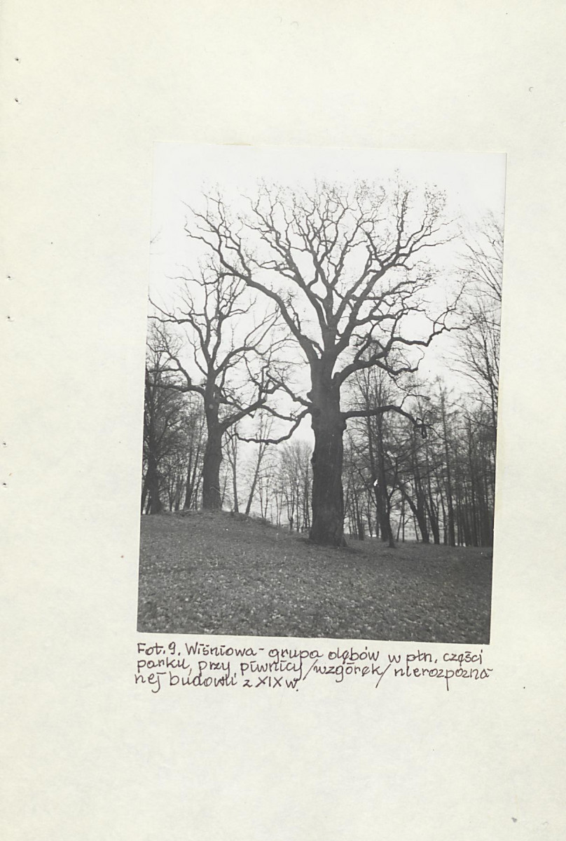 EP - Ewidencja parkowa, skan nr 79