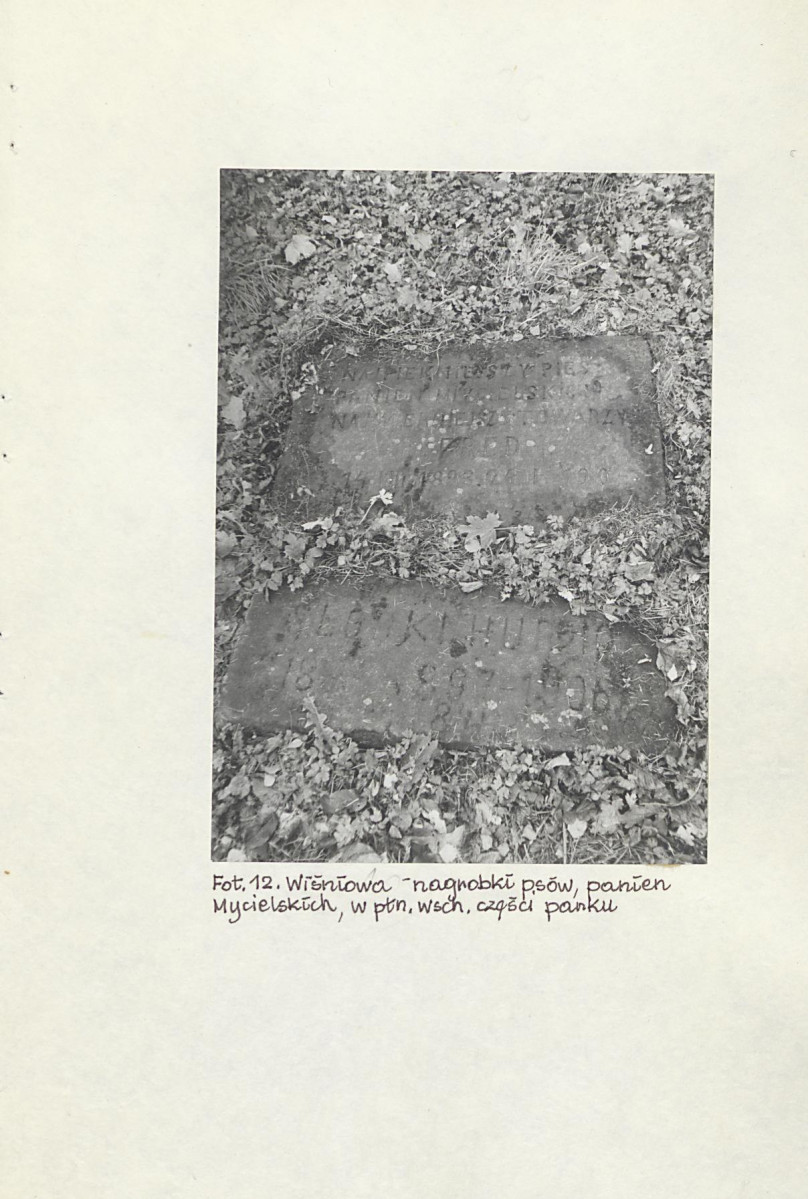 EP - Ewidencja parkowa, skan nr 82