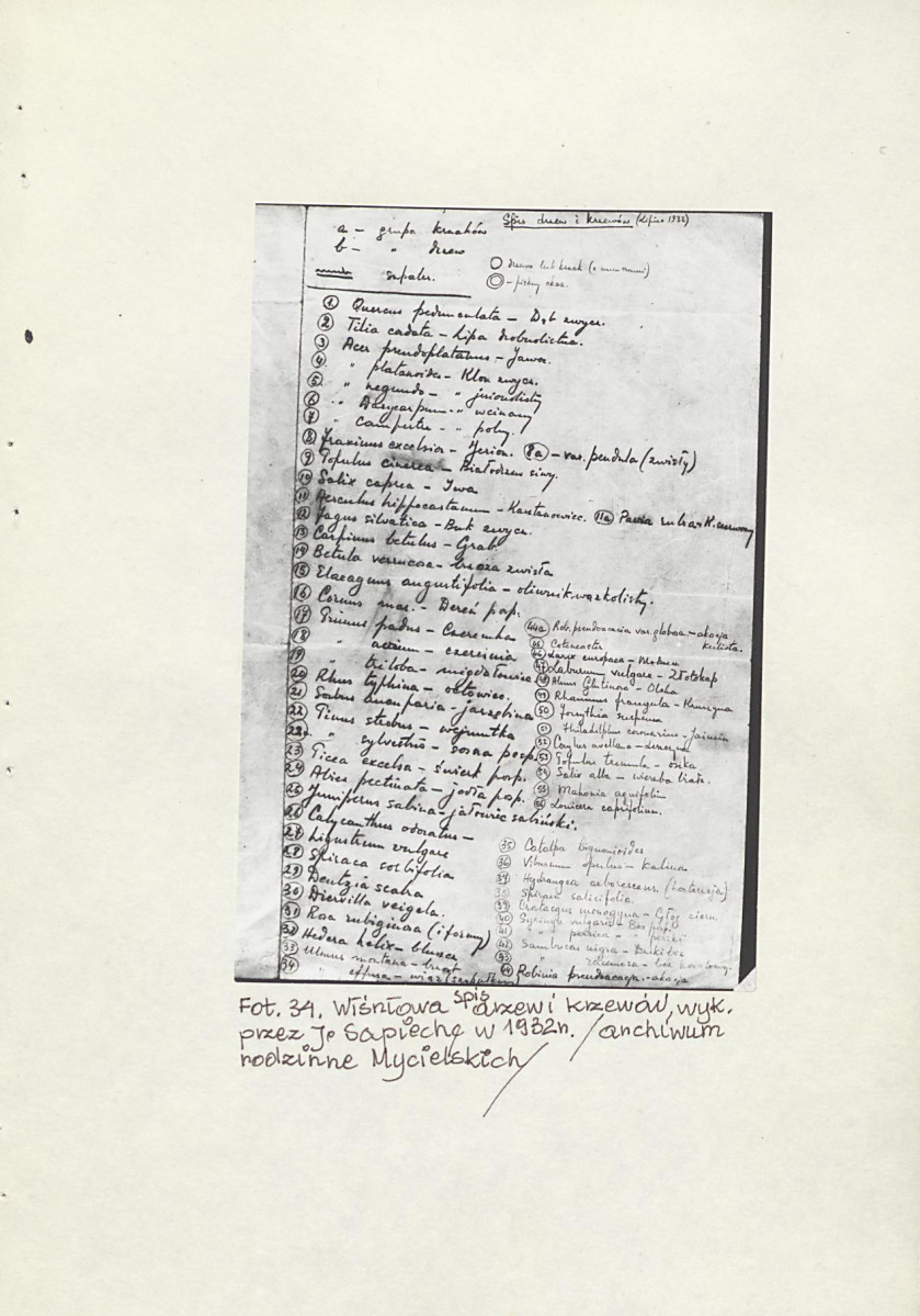 EP - Ewidencja parkowa, skan nr 101