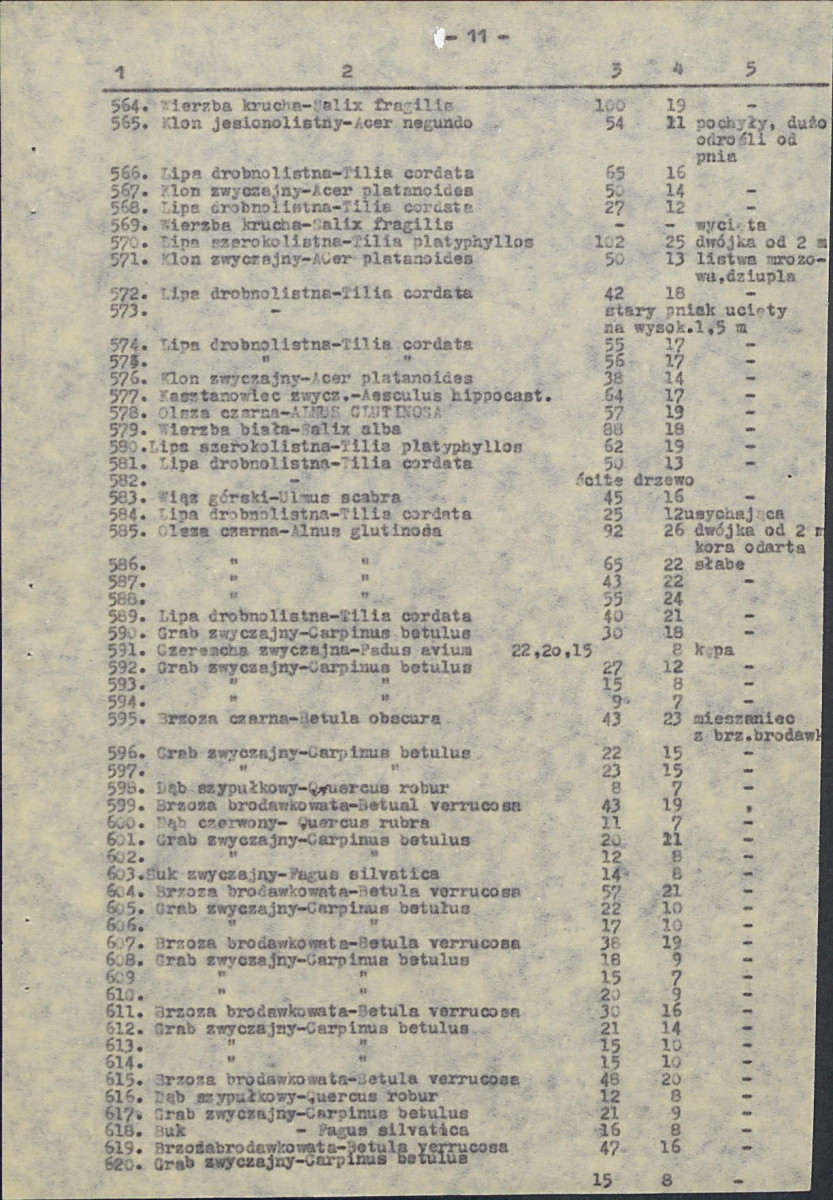 EP - Ewidencja parkowa, skan nr 50