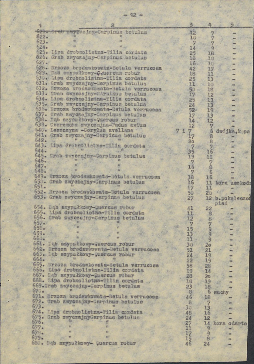 EP - Ewidencja parkowa, skan nr 51