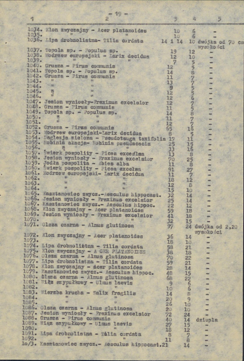 EP - Ewidencja parkowa, skan nr 58