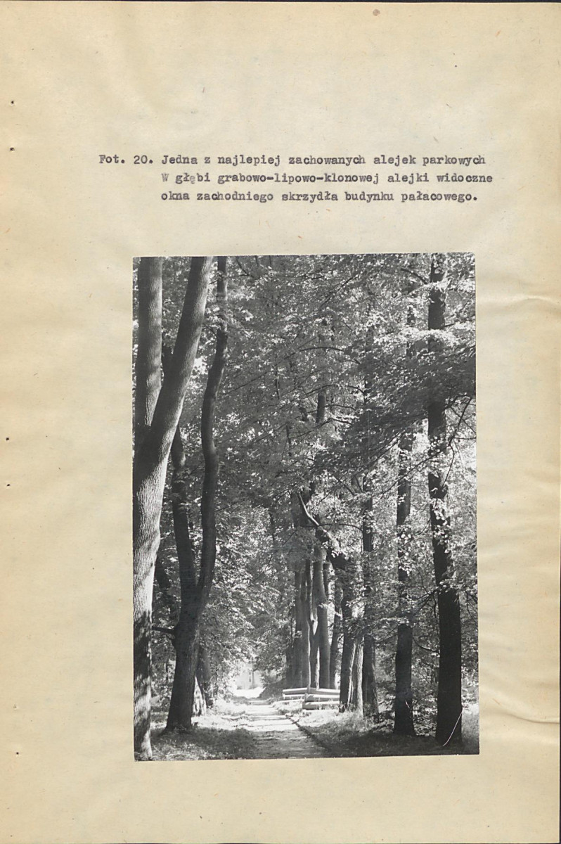 EP - Ewidencja parkowa, skan nr 96