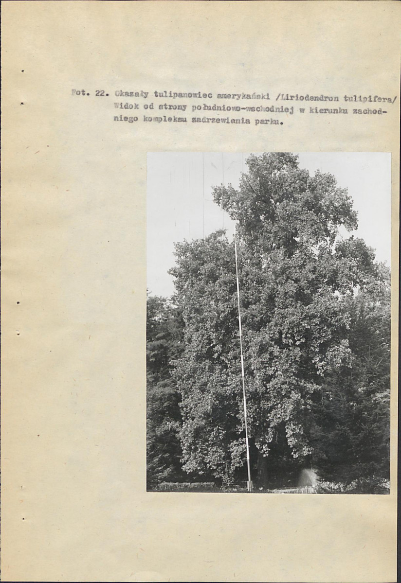 EP - Ewidencja parkowa, skan nr 98