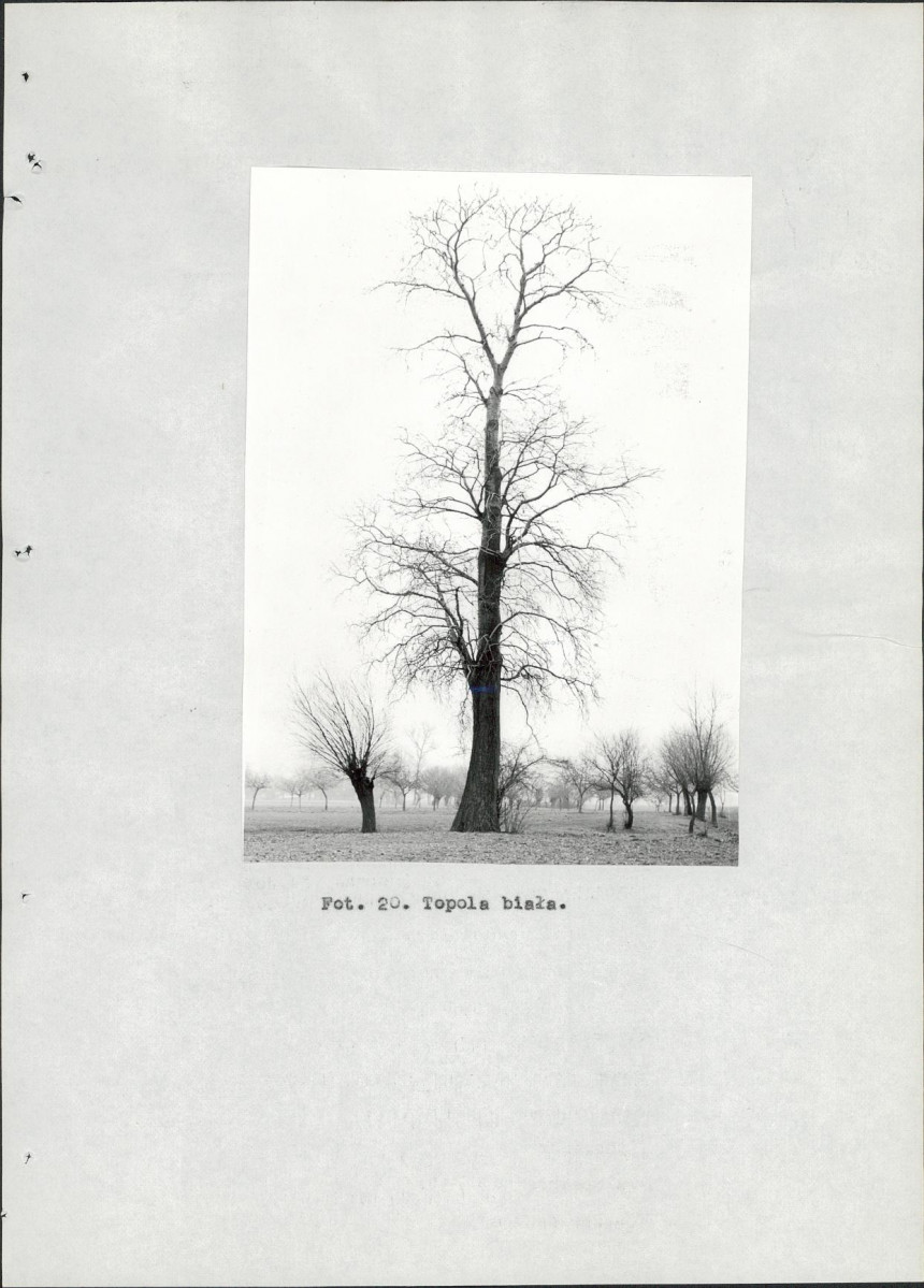EP - Ewidencja parkowa, skan nr 92