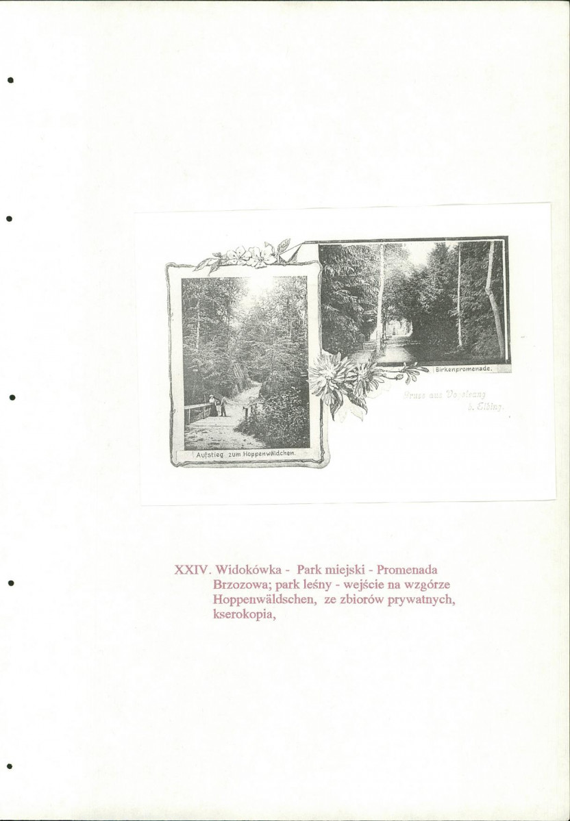 EP - Ewidencja parkowa, skan nr 143