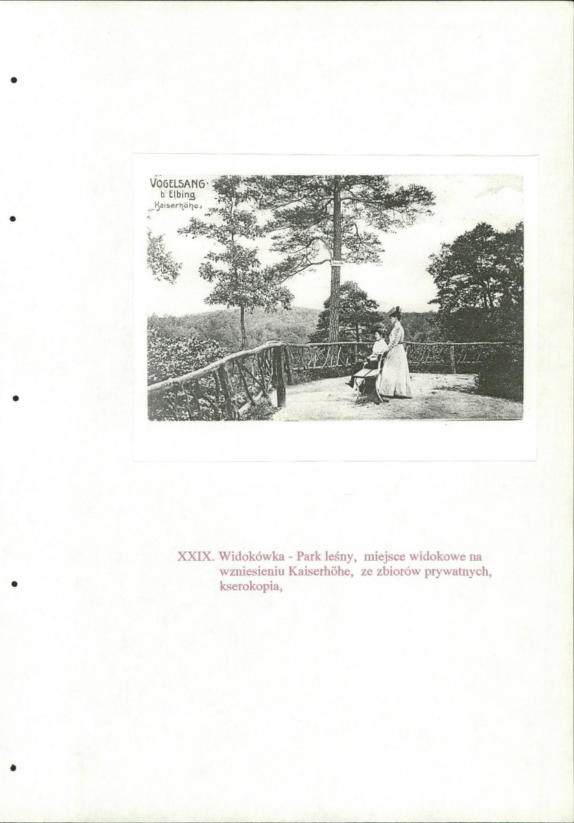 EP - Ewidencja parkowa, skan nr 147