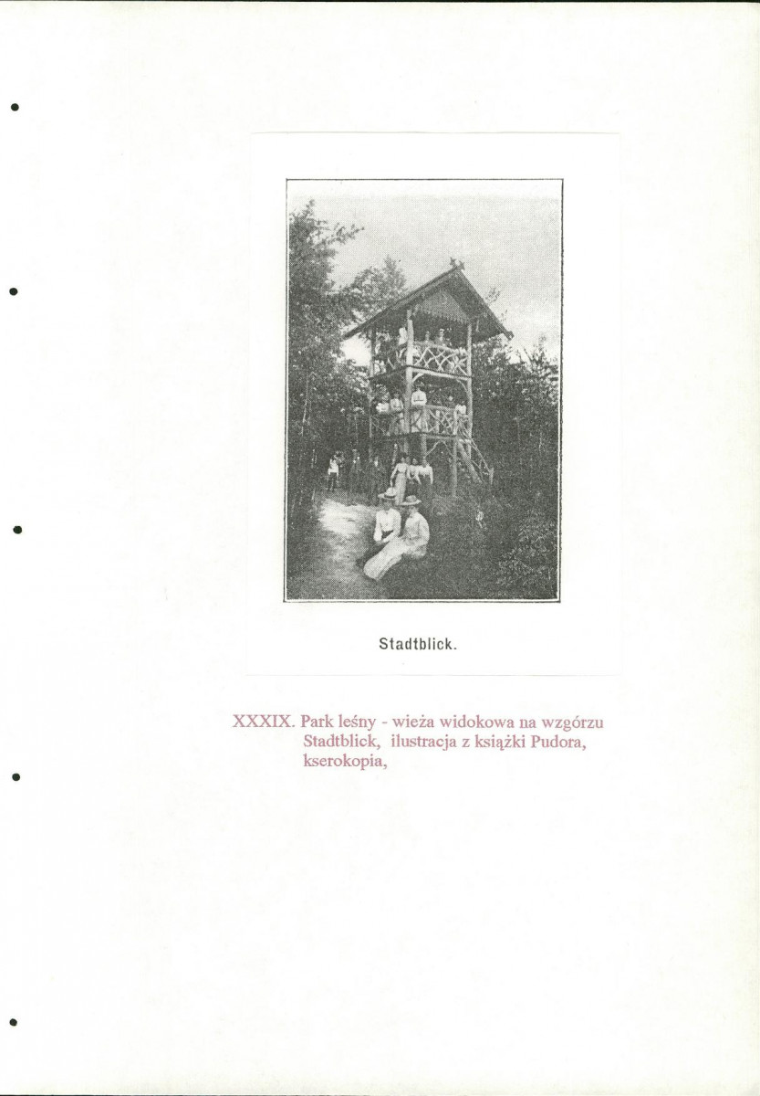 EP - Ewidencja parkowa, skan nr 156