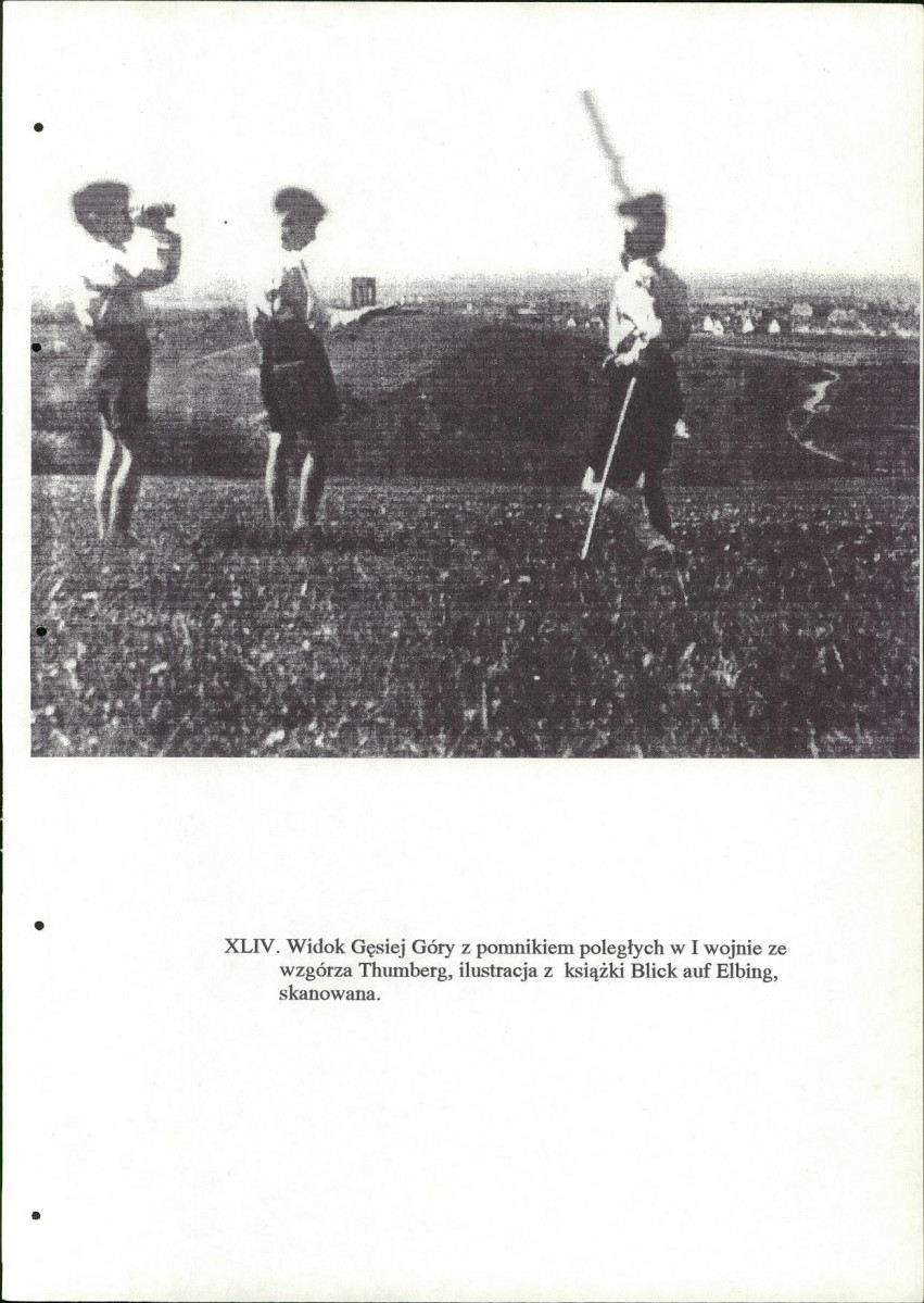 EP - Ewidencja parkowa, skan nr 161