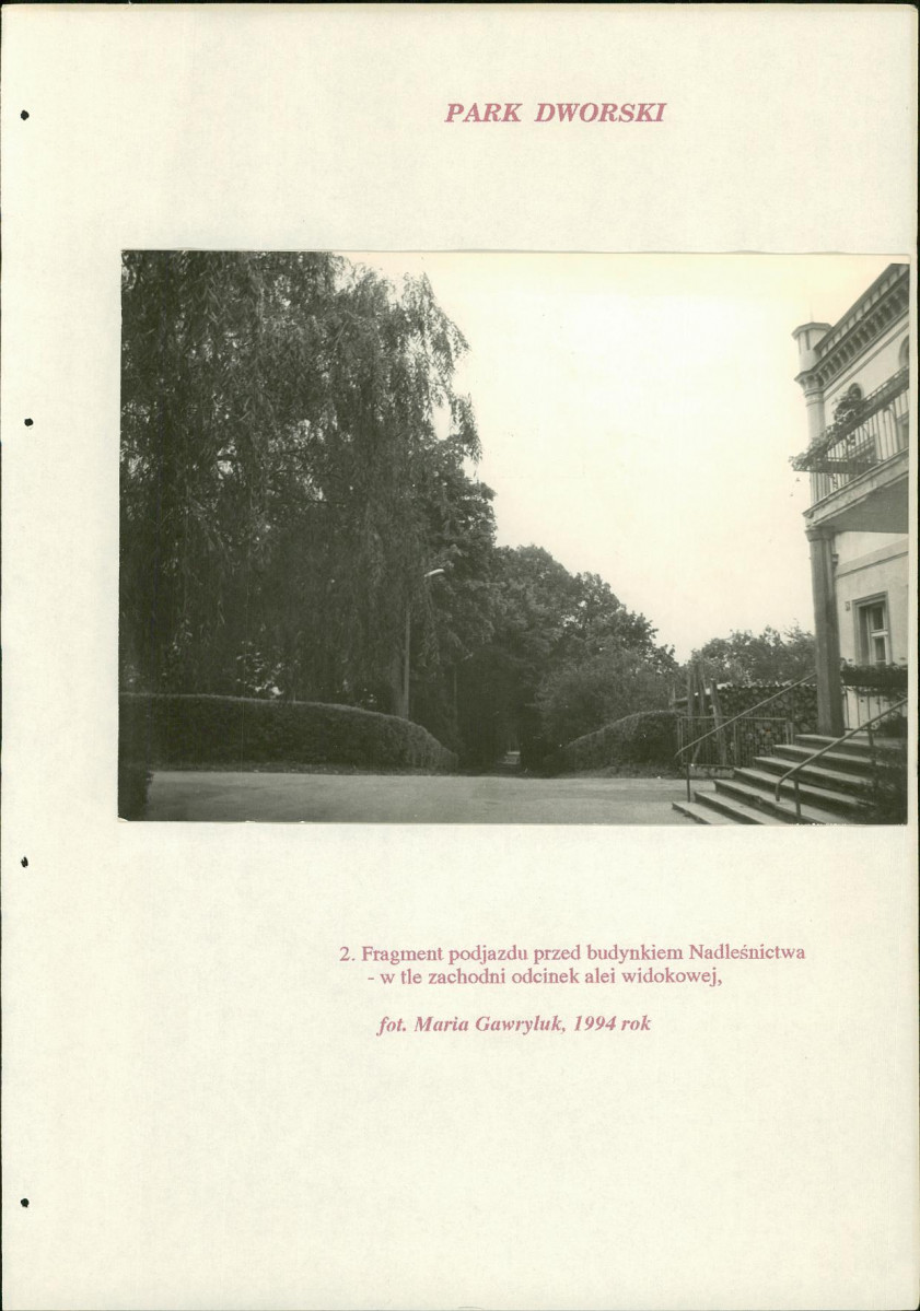 EP - Ewidencja parkowa, skan nr 174
