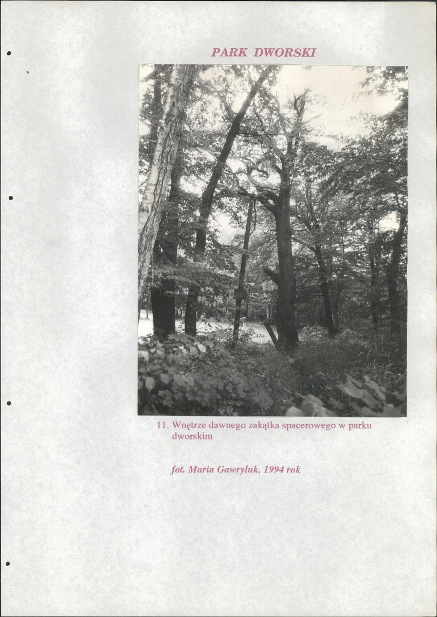 EP - Ewidencja parkowa, skan nr 183