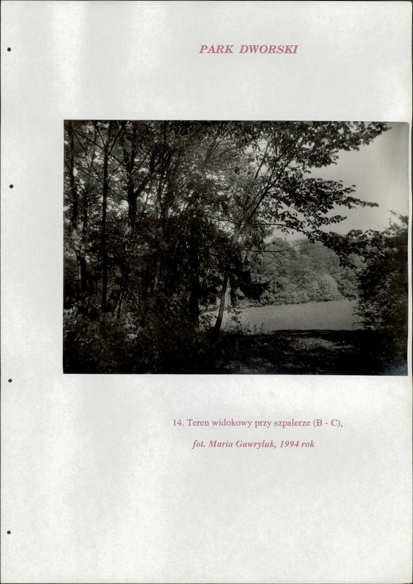 EP - Ewidencja parkowa, skan nr 186