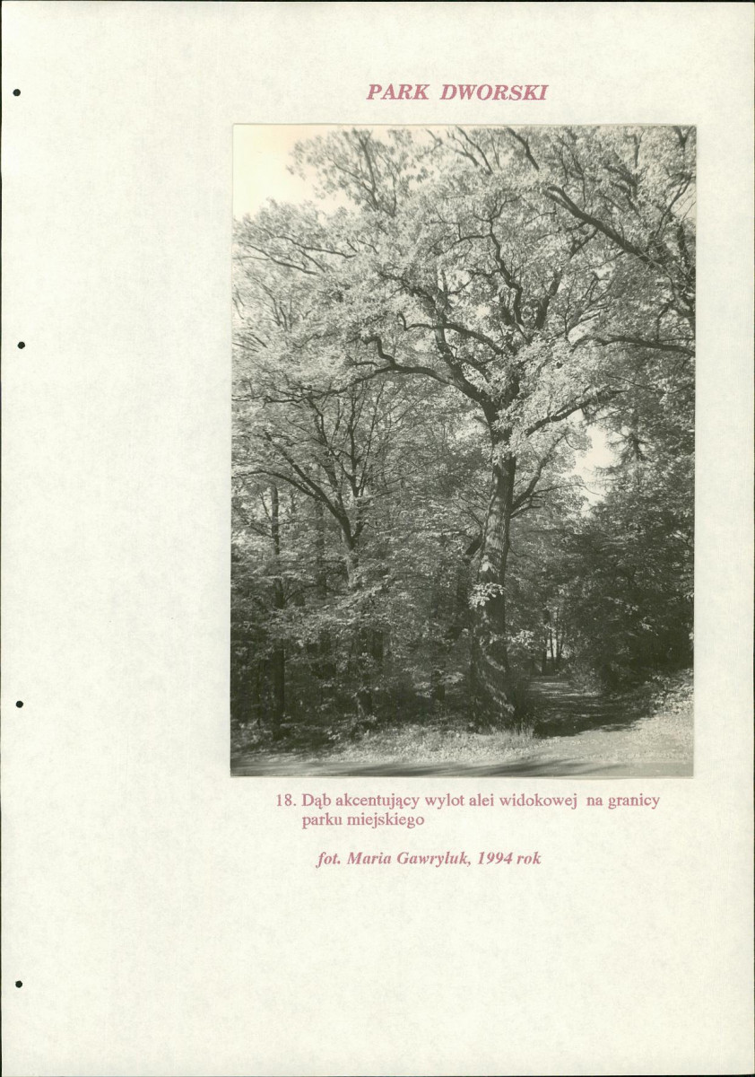 EP - Ewidencja parkowa, skan nr 190
