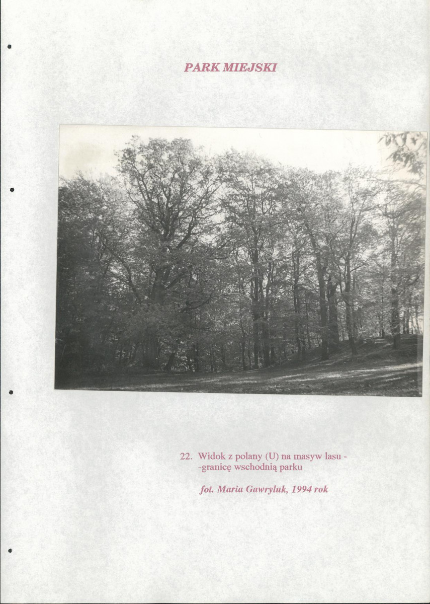 EP - Ewidencja parkowa, skan nr 194