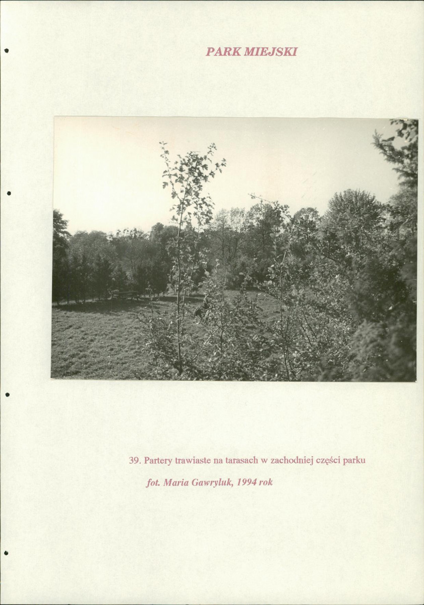 EP - Ewidencja parkowa, skan nr 211