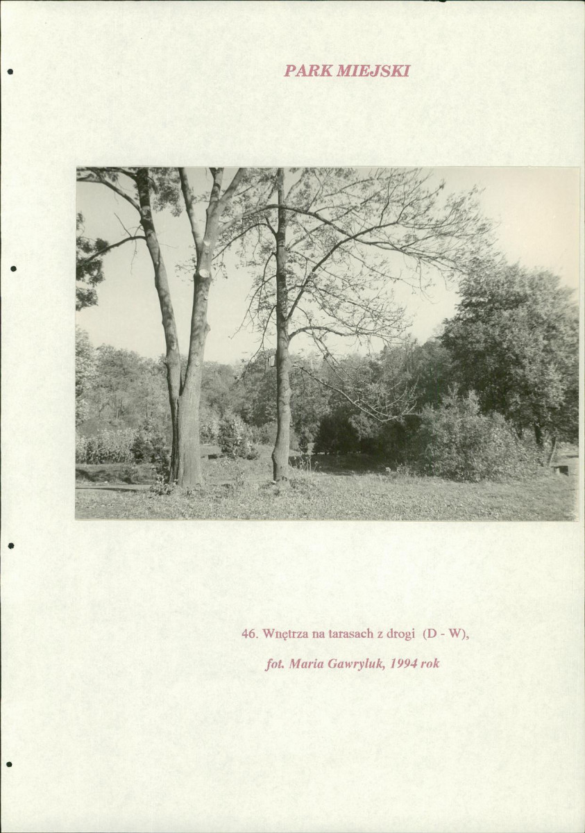 EP - Ewidencja parkowa, skan nr 218